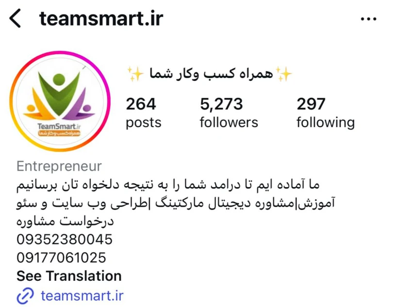 بهترین مشاور کسب و کار در شیراز